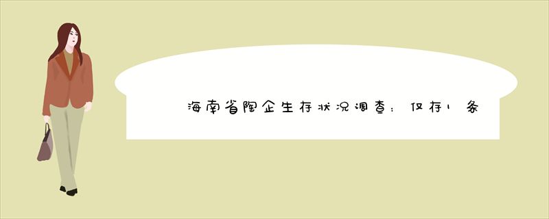 海南省陶企生存状况调查：仅存1条西瓦线