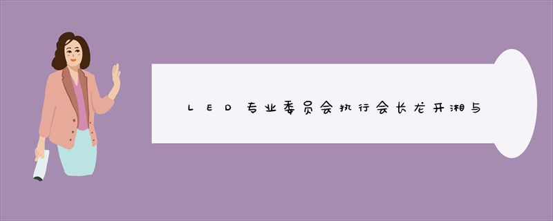 LED专业委员会执行会长龙开湘与华润公司领导共同探讨功率器件未来发展趋势
