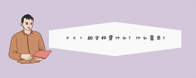 PCI的全称是什么？什么意思？