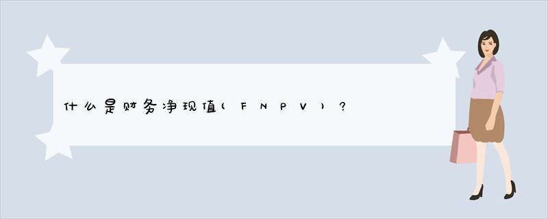 什么是财务净现值(FNPV)?