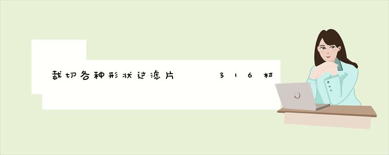裁切各种形状过滤片   316材质网片
