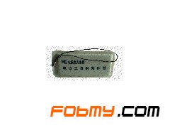 XAFD-1212 抗金属吊牌电子标签图1