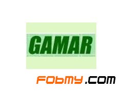 意大利GAMAR电机 GAMAR电机代理图1