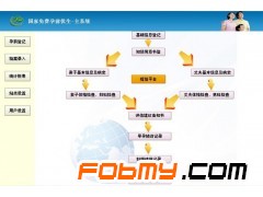 数字化孕前优生健康检查系统图1