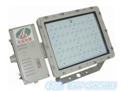销售西藏先知电器BLED9119大功率LED防爆泛光灯图1