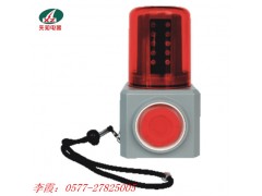 重庆生产厂家FL4870/LZ2多功能声光报警灯图1