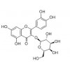 金丝桃苷对照品，金丝桃苷482-36-0
