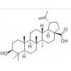 白桦脂酸对照品，白桦脂酸供应