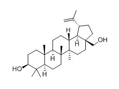 白桦脂醇对照品，白桦脂醇供应图1