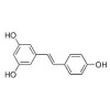 白藜芦醇对照品，白藜芦醇501-36-0