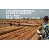 非洲木材进口报检代理公司/非洲木材进口物流公司
