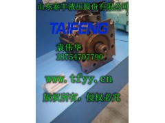 泰丰液压TFA7VSO-160系列斜盘式柱塞泵图1