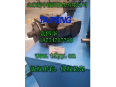 厂家直销泰丰液压TFA7VSO-160系列斜盘式柱塞泵图1