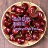 新西兰樱桃进口清关需要的具体单证