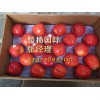 法国苹果进口清关需要准备的单证资料