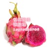 越南火龙果进口清关能操作的公司