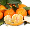 台湾柑橘进口清关需要准备的单证资料
