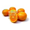 台湾柑橘进口报关需要准备什么资料