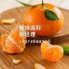 美国柑橘进口清关的增值税是多少