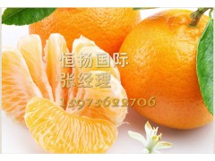 秘鲁柑橘进口清关需要准备的单证资料图1