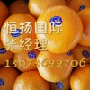 埃及柑橘进口报关具体流程