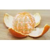 澳大利亚柑橘进口清关需要准备的单证资料