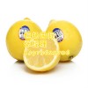 澳大利亚柠檬进口清关需要的具体单证