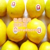 澳大利亚柠檬进口清关需要什么资料