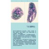 量子围巾的功效 量子丝巾怎么代理 量子工厂在哪里 菱量供