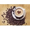 深圳进口意大利咖啡代理手续有哪些