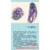 围巾可以植入量子吗 量子能量棒品牌 量子丝巾植入量子 菱量供