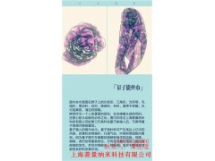 国内有几家公司有量子仓 量子围巾销售 量子丝巾有用吗 菱量供图1