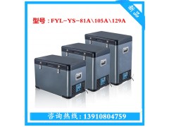 低温冰柜FYL-YS-105A