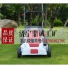 河南郑州1800W手推式电动割草机 小型家用别墅草坪收割机