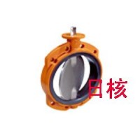 EVBS支耳对夹蝶阀_荷兰钢厂蝶阀EVBS
