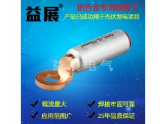 DTL-2-25mm出口型铜铝线鼻子，,优质铜铝过渡端子，图1