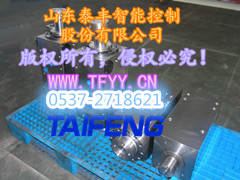 江西液压缸WC67Y-100HDK泰丰更换配件图1