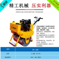 福建福州手扶压路机 单轮小型压实机