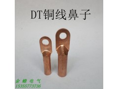 DT-95铜线鼻子 镀锡95平方线鼻子 堵油国标铜鼻子图1