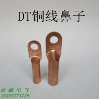 DT-120铜鼻子 堵油铜接头 120平方铜接线端子