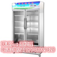 冰之乐SNJ-B酸奶机