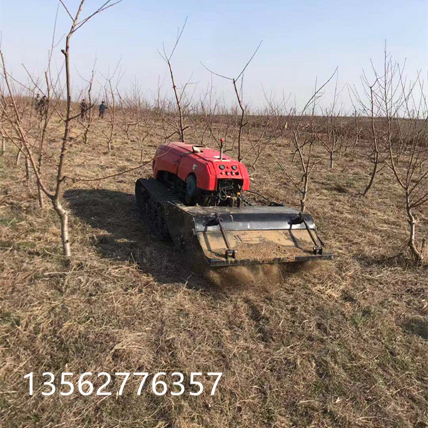 微信图片_20190318090545_副本