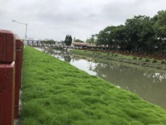 生态混凝土-植被混凝土-BSC生物基质混凝土-绿化混凝土图1