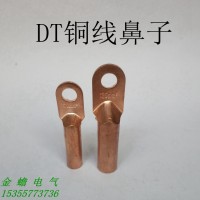 国标铜鼻子 DT-6平方铜线鼻子 电缆铜接线端子