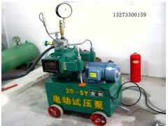 2D系列电动打压泵  压力自控电动试压泵报价图2