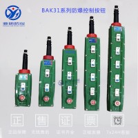 BAK31系列5A36VExdIICT6防爆控制按钮