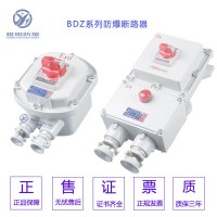 BDZ52-60A4P3P防爆断路器开关箱