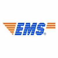 广州EMS快递正式报关
