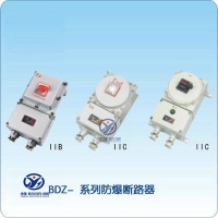BLK52防爆断路器 16A32A63A100A防爆空开