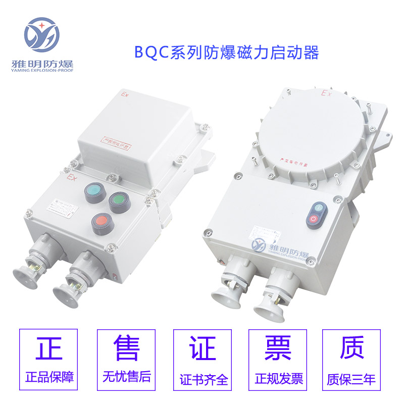 防爆磁力启动器 (5)